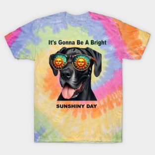 It's Gonna Be a Bright SunShiny Day T-Shirt